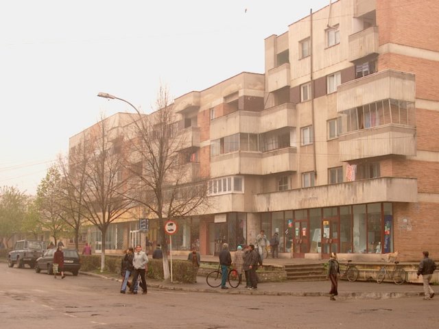 Photograph